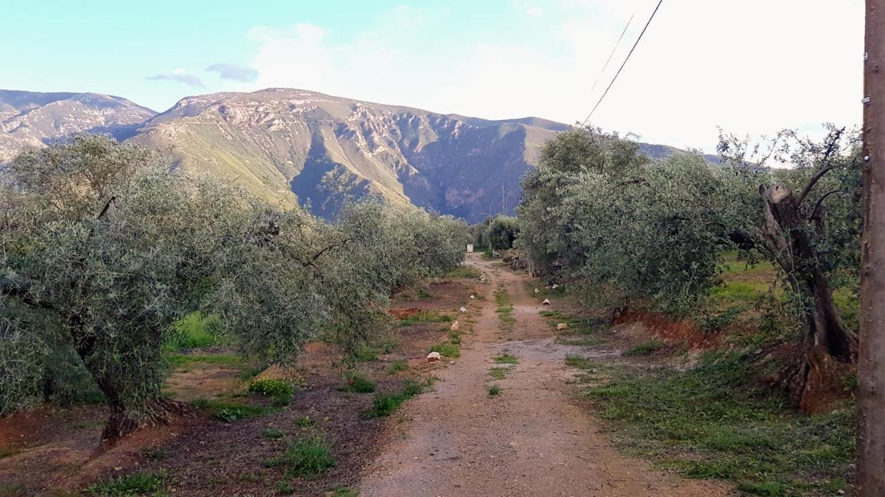 Gateway To The Alpujarras, 'Cortijo Derry' Hotel Orgiva Eksteriør billede