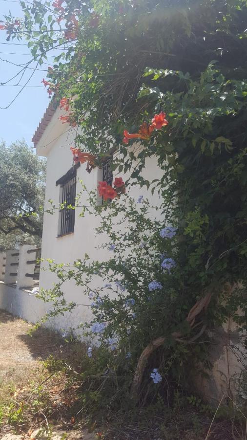 Gateway To The Alpujarras, 'Cortijo Derry' Hotel Orgiva Eksteriør billede