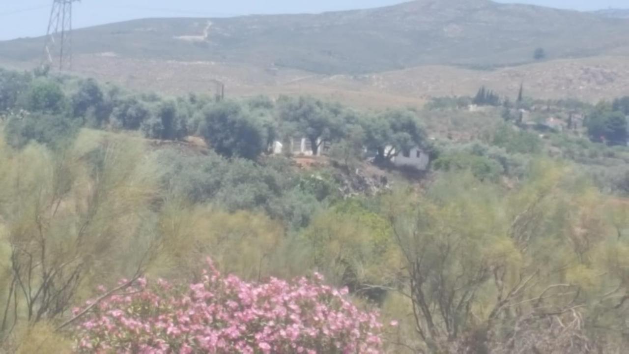 Gateway To The Alpujarras, 'Cortijo Derry' Hotel Orgiva Eksteriør billede